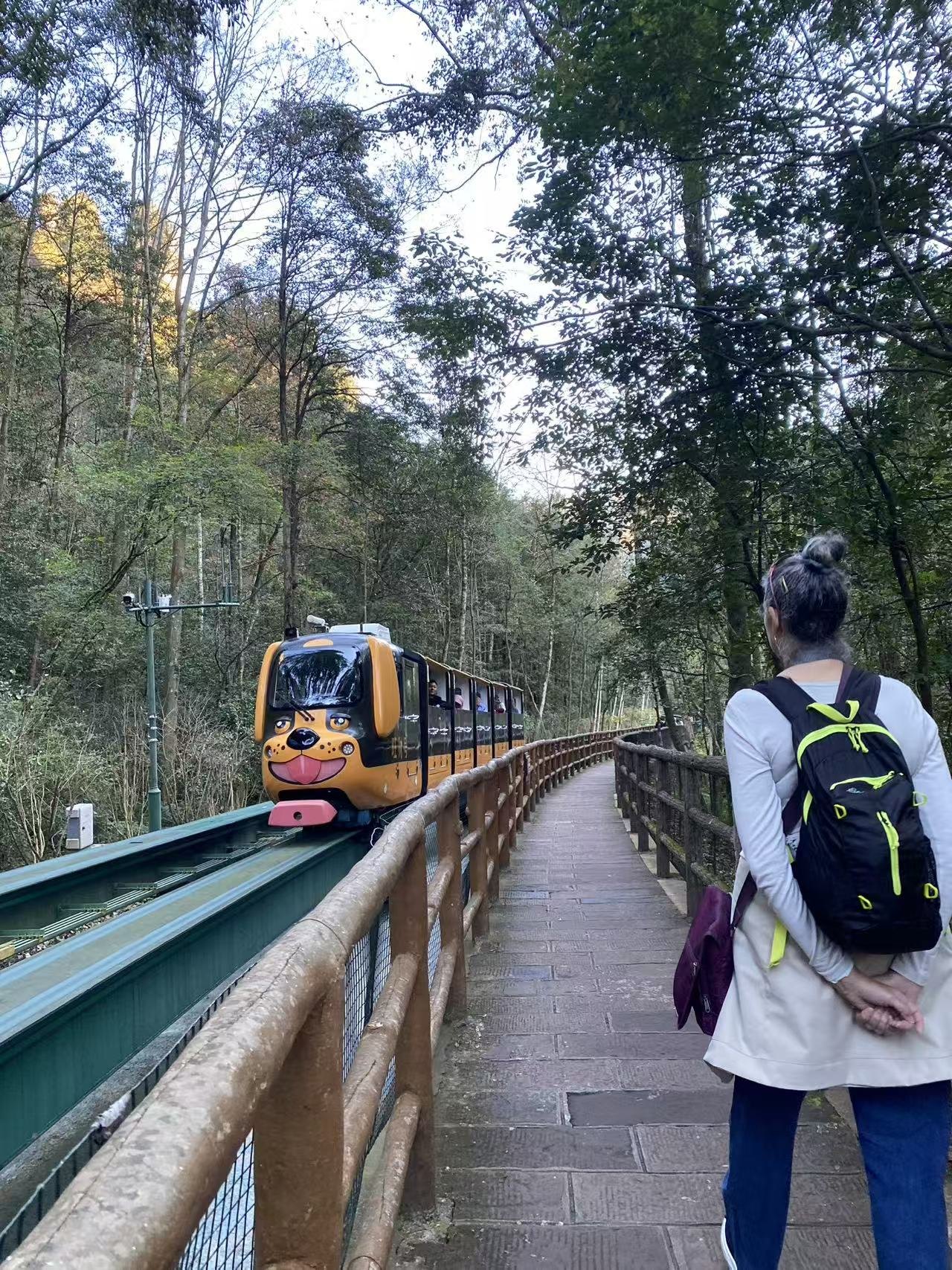 By the scenic train at Ten-mile Gallery