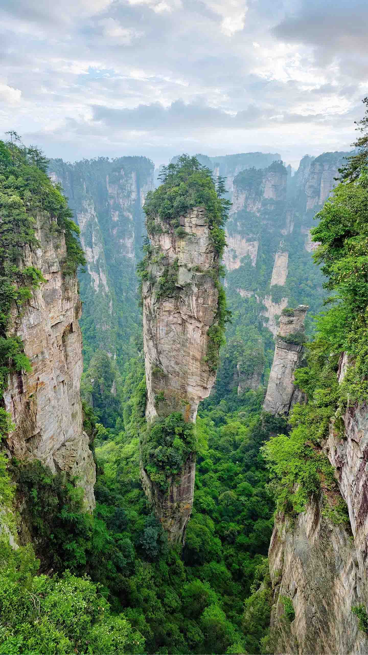Yuanjiajie peak forest