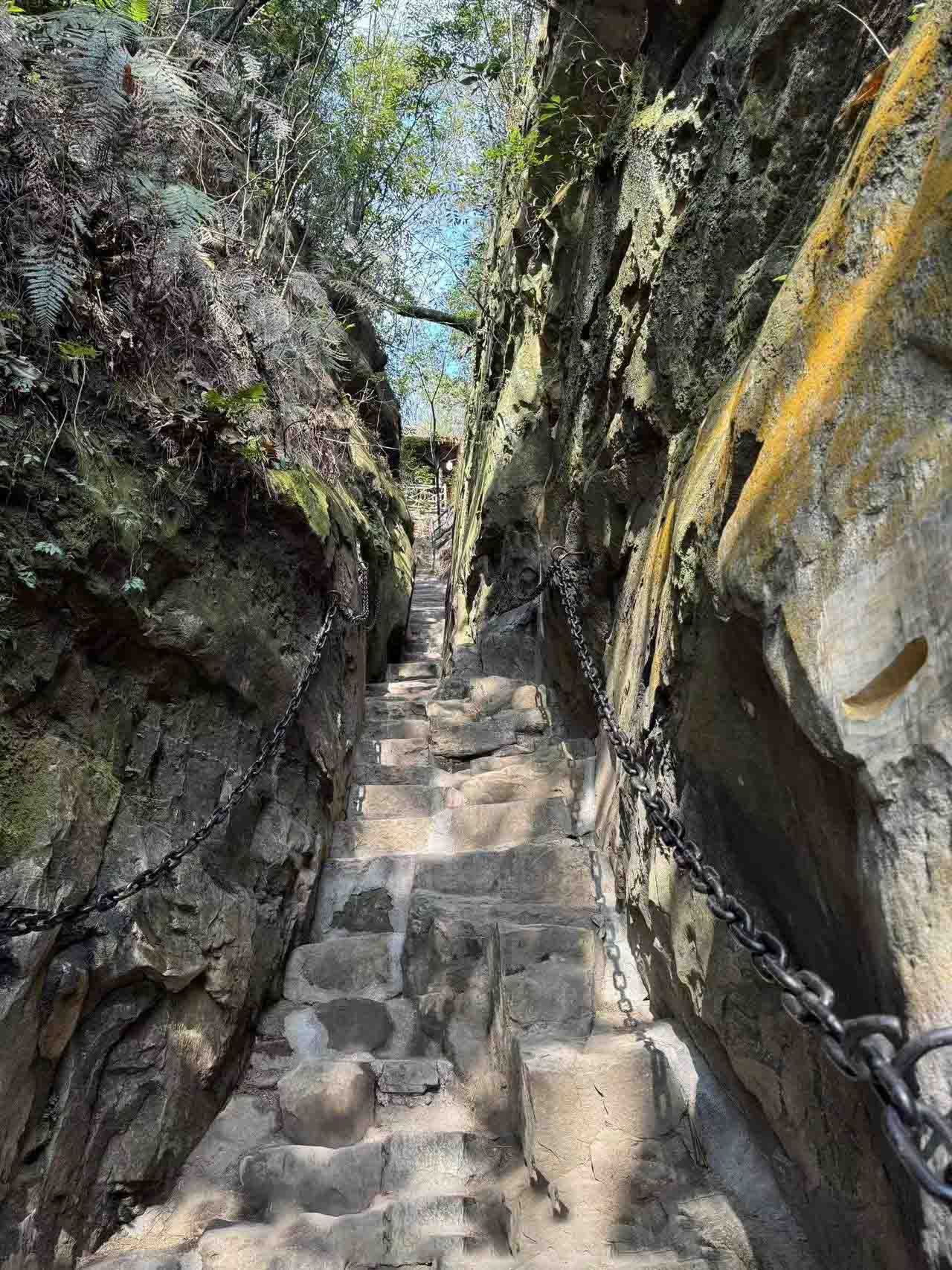 Wulingyuan peak forest scenery